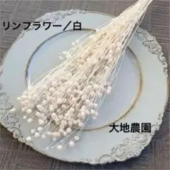 まりりん様　ご専用