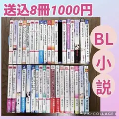 BL小説　バラ売りOK