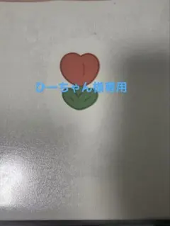 ひーちゃん様専用