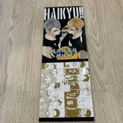 ハイキュー!! 稲荷崎高校 宮兄弟 収納BOX 原作絵柄