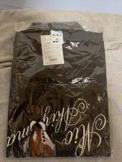 けいおん！！ 秋山澪 Tシャツ Lサイズ