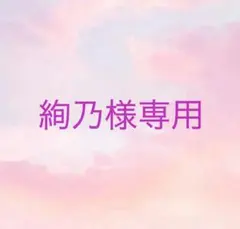 絢乃様 リクエスト 2点 まとめ商品