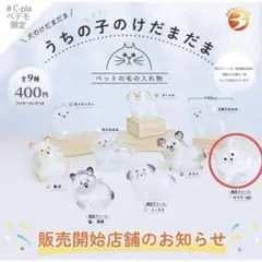 レ*ん様 うちの子のけだまだま　チワワ（白）