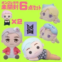 処分価格☆未開封☆TinyTANぬいぐるみ6点セット RM×5 j-hope×1