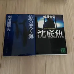 Item thumbnail for item 2470ff90-340b-41e6-8393-1fbd21435a3f