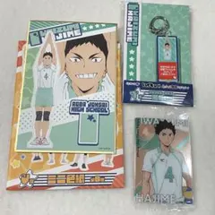 ハイキュー 岩泉一 4点セット