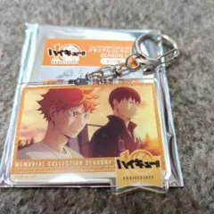 ハイキュー！！トレーディングメモリアルアクキー　日向翔陽　影山飛雄