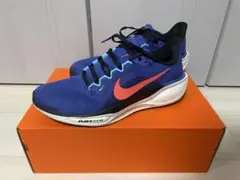 ナイキ　ペガサス41