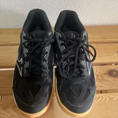 バレーボール　シューズ 24cm 黒　ミズノ　MIZUNO