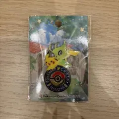 2025年最新】ポケモンセンター ナゴヤ ピンズの人気アイテム - メルカリ