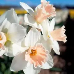 nanoka様 リクエスト 3点 まとめ商品