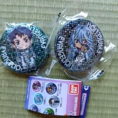 エヴァンゲリオンあそーと06　缶バッジ　２種
