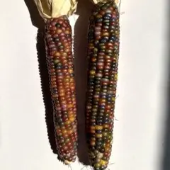 クリスタル様 リクエスト 2点 まとめ商品