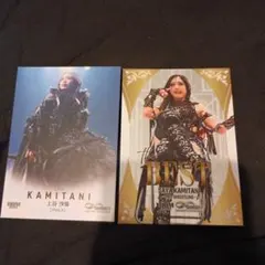 Item thumbnail for item af139499-0468-4f2f-aa65-0e9184f2b5d5