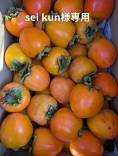 sei kun様専用 蜂屋柿