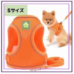 Item thumbnail for item 4896ff31-59ba-48df-81e9-b08c0347c7d8