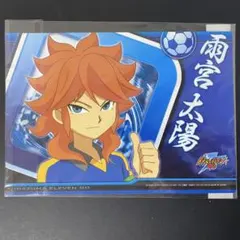 イナズマイレブンGO ビッグカードコレクション 雪村豹牙 - メルカリ