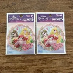 Disney ディズニー プリンセス ワッペン　2WAY 大サイズ ２枚