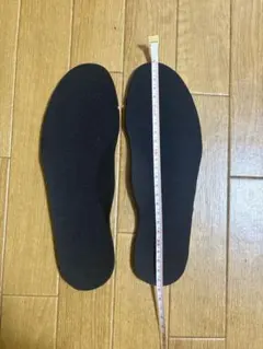 DS LIGHT インソールのみ　24.5㎝(新品)