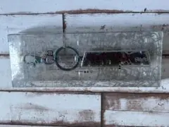 Item thumbnail for item 28857e0c-8abb-44c6-9249-95f9cd025dc1