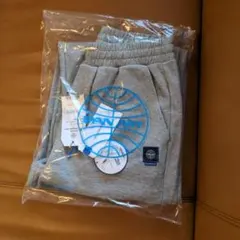 Item thumbnail for item c14d957b-d7b5-421f-bbc9-13c6e7ad7282