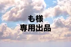 も様 専用出品