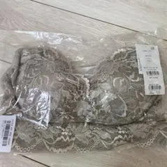 ハートフルカップ レースブラ グレージュ L