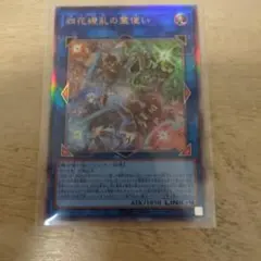 遊戯王　四花繚乱の霊使い　レリーフ