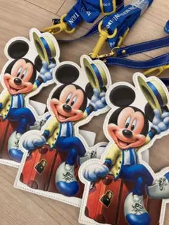 バケーションパッケージ　ミッキー　チケットホルダー