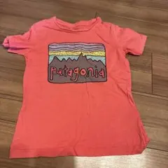 Patagonia 120 ピンク Tシャツのサムネイル