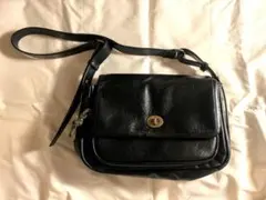 Item thumbnail for item 32f4d6a7-cfc6-4aad-ad03-7eb21d672f28