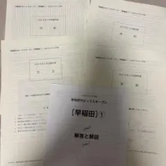 2026年最新】学校別サピックスオープン早稲田の人気アイテム - メルカリ
