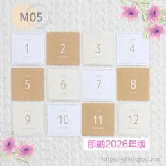 2026 먼슬리 카드 마시카쿠 베이지 라떼 컬러