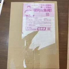 インフェルノX 新品未開封シュリンク付き　1BOX