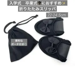 Item thumbnail for item 90c49343-f14b-43ca-89d8-39a0d3d2a039