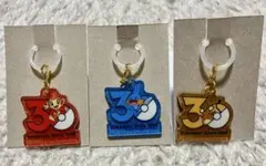 ポケモン 30周年 ロゴマスコット ポケチャーム ヒコザル、ミズゴロウ、デデンネ