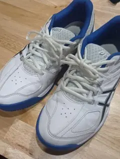 ASICS アシックス オールコート 　メンズ　テニスシューズ 25cm