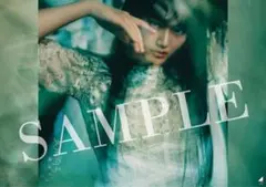 Item thumbnail for item 6629977c-74cd-44a0-bd9b-52403e9301b2