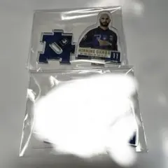 Item thumbnail for item 8b48f8f1-b75b-42d3-b847-89d127194fdc