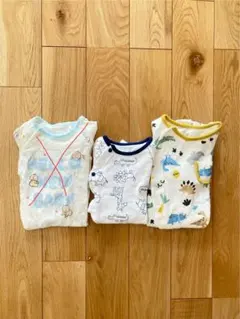 Item thumbnail for item 133c31a7-267e-4f28-ba6b-abc3d854e4e4