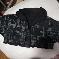 Item thumbnail for item c543b4f6-d7cd-45b5-8923-6d2f26a3b3fa