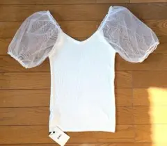 Item thumbnail for item 754c8e3a-17f3-4c48-9264-711785c0ee95