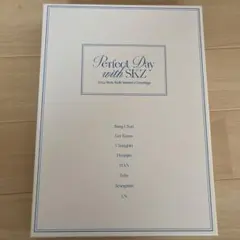 stray kids 2024 シーグリ