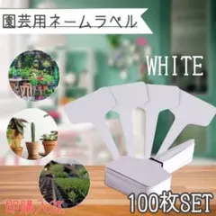 園芸ラベル　T字型　100枚　ホワイト　植物　ネームプレート　ガーデニング　名札
