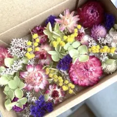 CoCo様 リクエスト 4点 まとめ商品