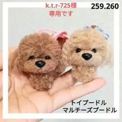 k.t.r-725様　あみぐるみのオーダーありがとうございました！(^^)のサムネイル
