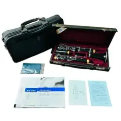 Item thumbnail for item 9abb7e07-39ca-422c-bc65-76c848751128