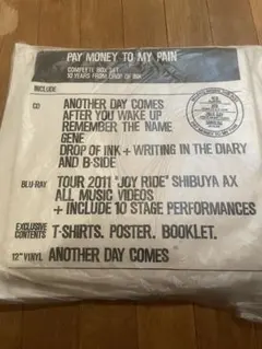 2026年最新】pay money to my pain ステッカーの人気アイテム - メルカリ