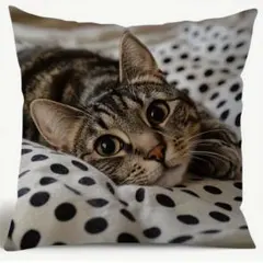 Item thumbnail for item 05b2a559-0c4a-45e7-99d7-86607c45d70a