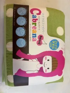 Item thumbnail for item c406b466-7cf8-41f5-954d-adc9294e7e80